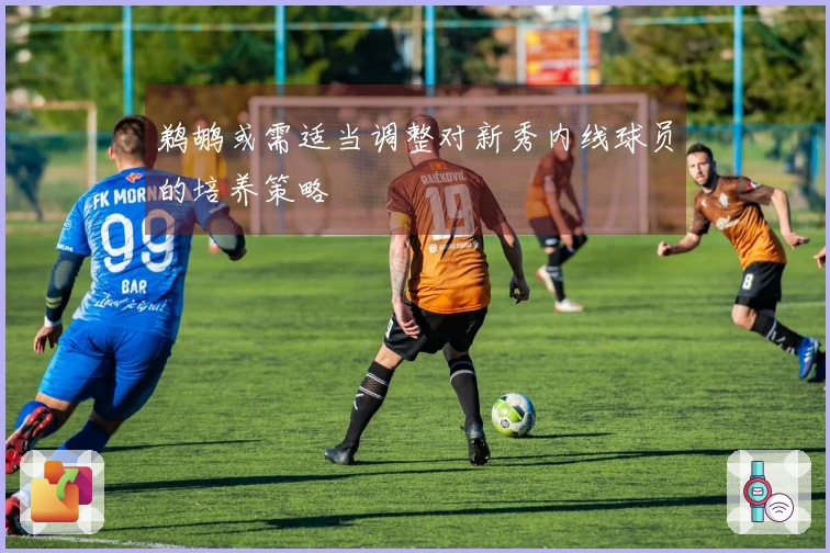 鹈鹕或需适当调整对新秀内线球员的培养策略